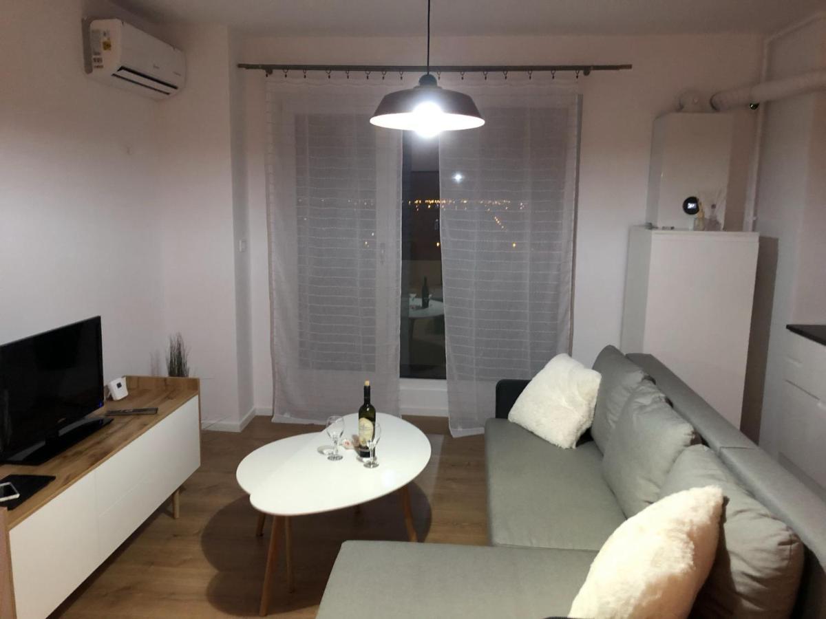 Chronos Apartment - Modern And Stylish Timişoara Eksteriør billede